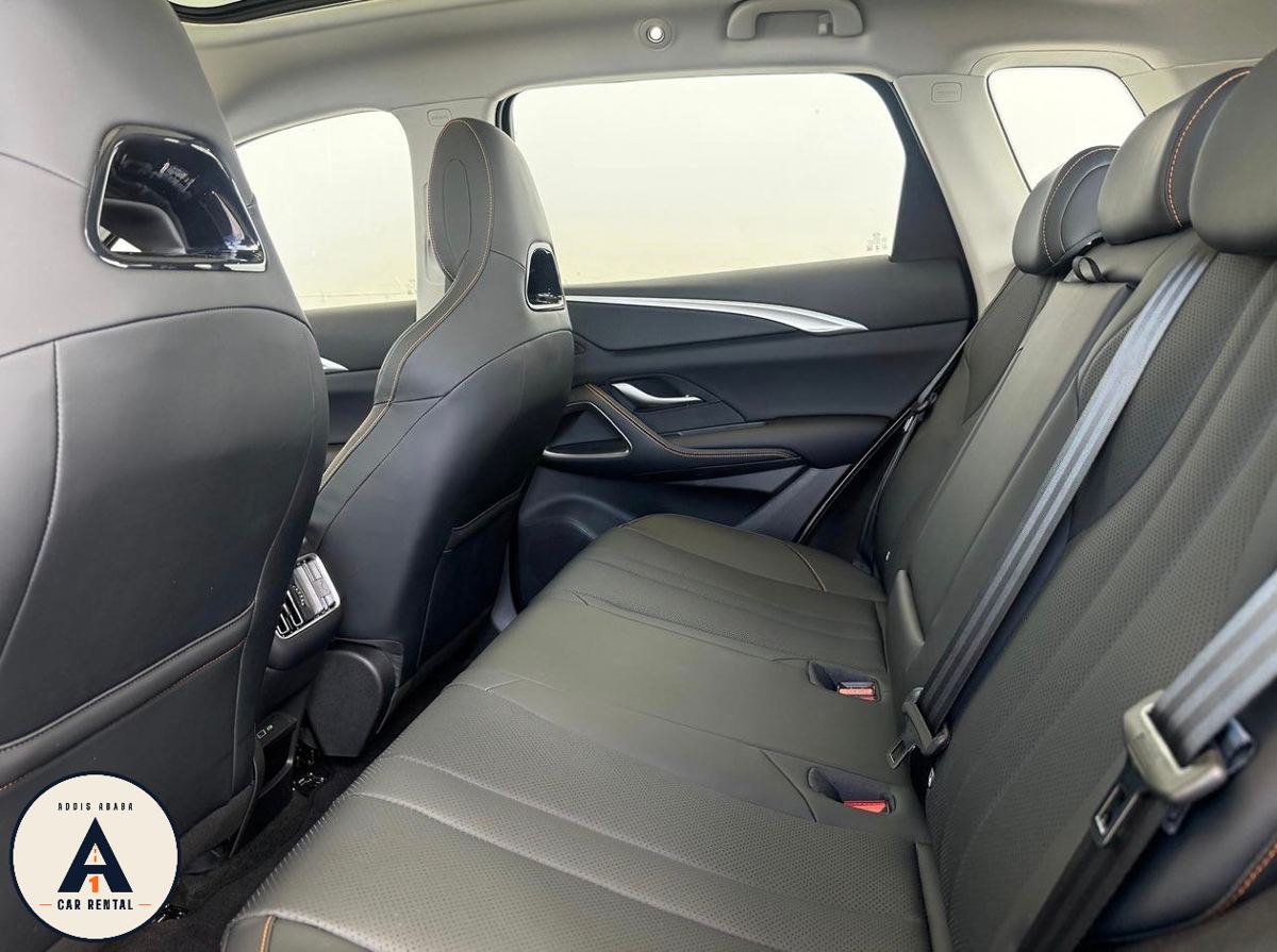 BYD Sealion 05 SUV for rent in Addis Ababa – photo 8