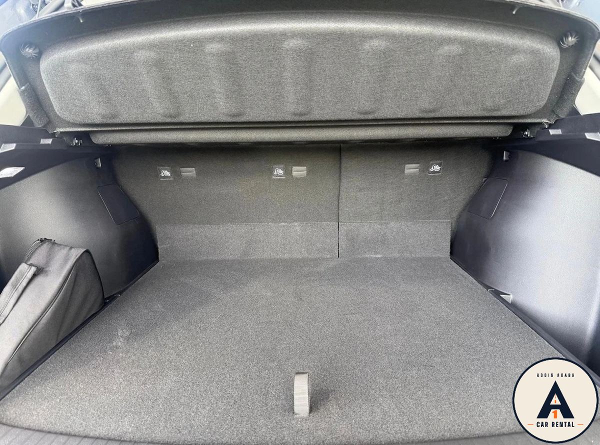 BYD Sealion 05 SUV for rent in Addis Ababa – photo 11